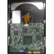 Электроника жёсткого диска 146Gb HP 481653-002 DF146BAFDU (Новокузнецк)