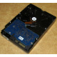 Электроника HDD 500Gb Hitachi HDS721050DLE630 (Новокузнецк)