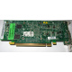 Видеокарта Dell ATI-102-B17002(B) зелёная 256Mb ATI HD2400 PCI-E (Новокузнецк)