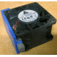 Вентилятор TFB0612GHE для корпусов Intel SR2300 / SR2400 (Новокузнецк)