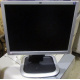 Монитор 19" HP L1950g KR145A 5:4 (Новокузнецк)