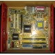 Материнская плата Asus P5L-VM 1394 s.775 (Новокузнецк)